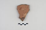 ostracon, image 2/3