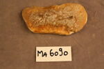 fragment, image 3/3