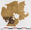 clavus ; fragment, image 1/2