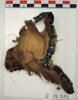 manche d'habit  ; fragment, image 2/2