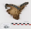 manche d'habit  ; fragment, image 1/2