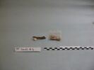 objet indéterminé, fragment, image 1/2