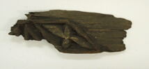 élément architectural ; fragment, image 1/2