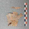 vêtement et pièce d'habillement, image 2/2