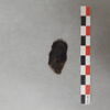 vêtement et pièce d'habillement, image 2/2